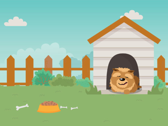A Dog Guarding His House: A Designer’s Honest Review
