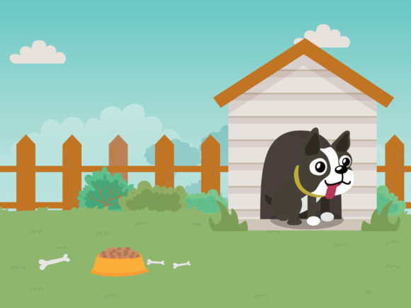 Dog Guarding His House-08: A Practical Design Review