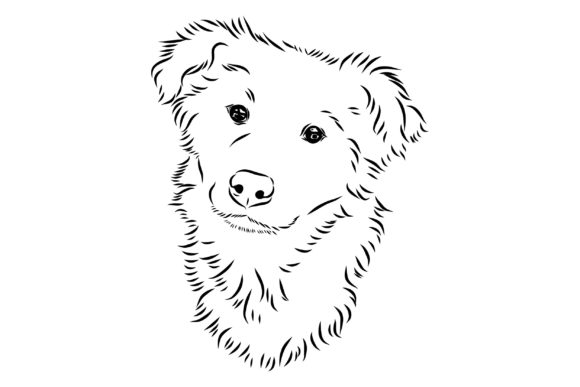 The Old Poor Mangy Dog: A Designer's Review